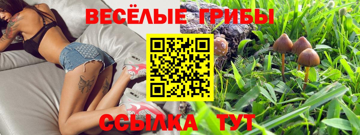 Серов  Псилоцибиновые грибы ЛСД  Вход с VPN 